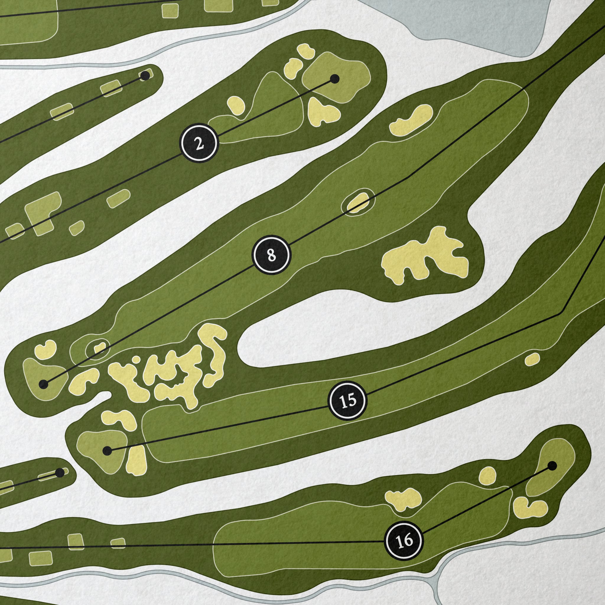 Arcola Country Club | Golf Course Print | Close Up