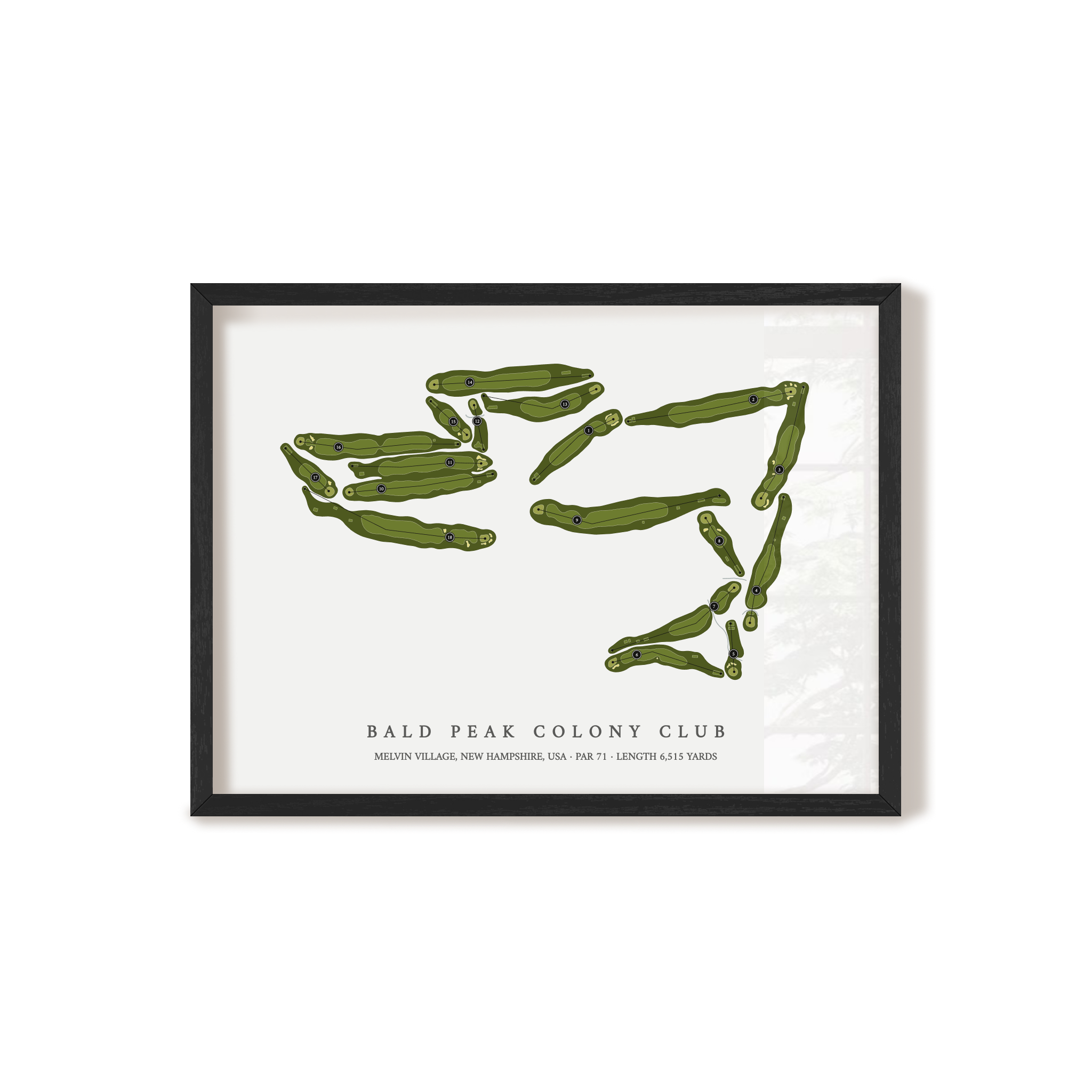 Bald Peak Colony Club | Golf Course Print | Black Frame