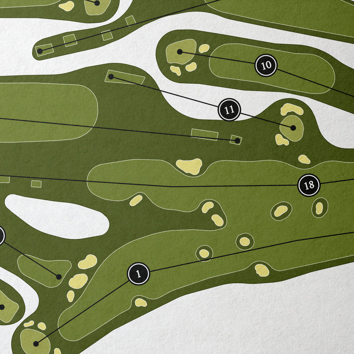 Bloomfield Hills Country Club | Golf Course Print | Close Up