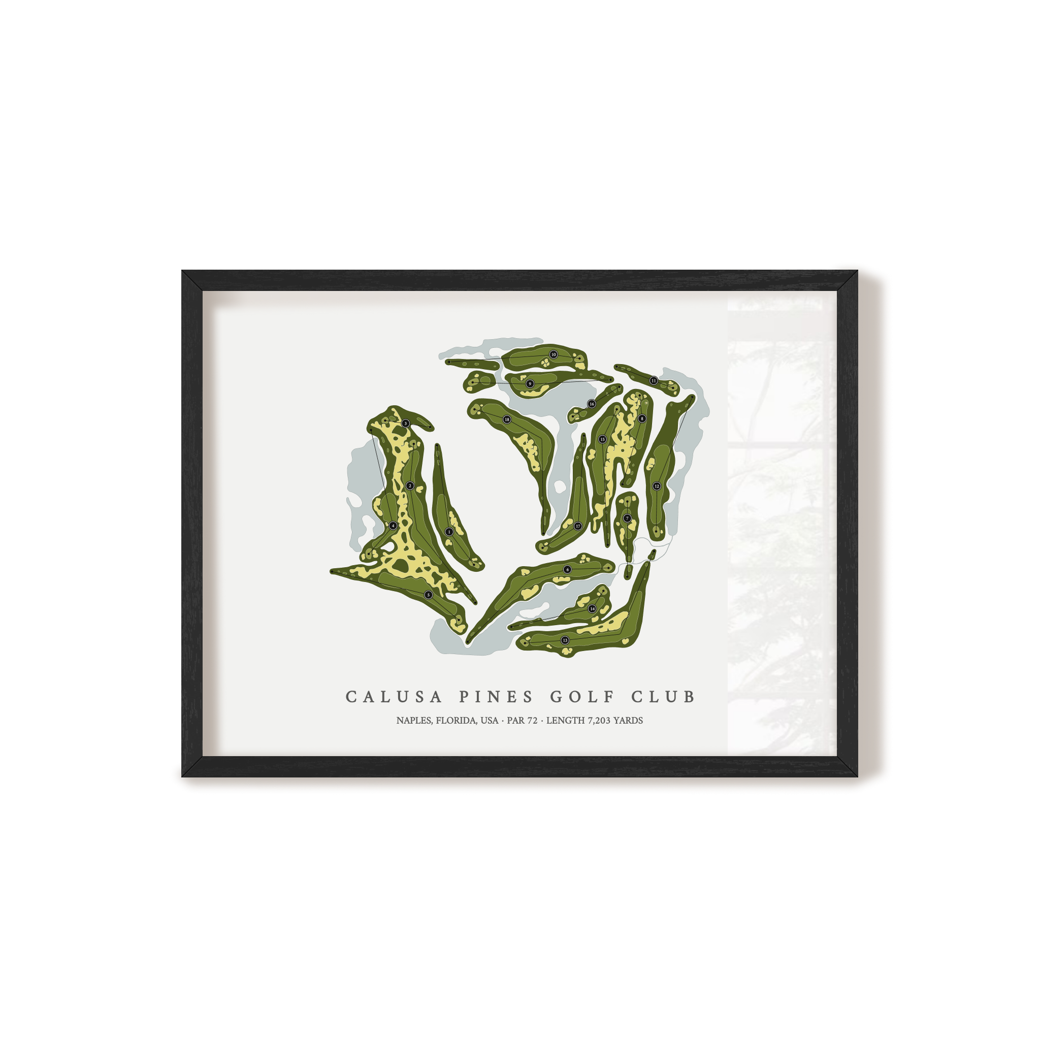 Calusa Pines Golf Club | Golf Course Map | Black Frame