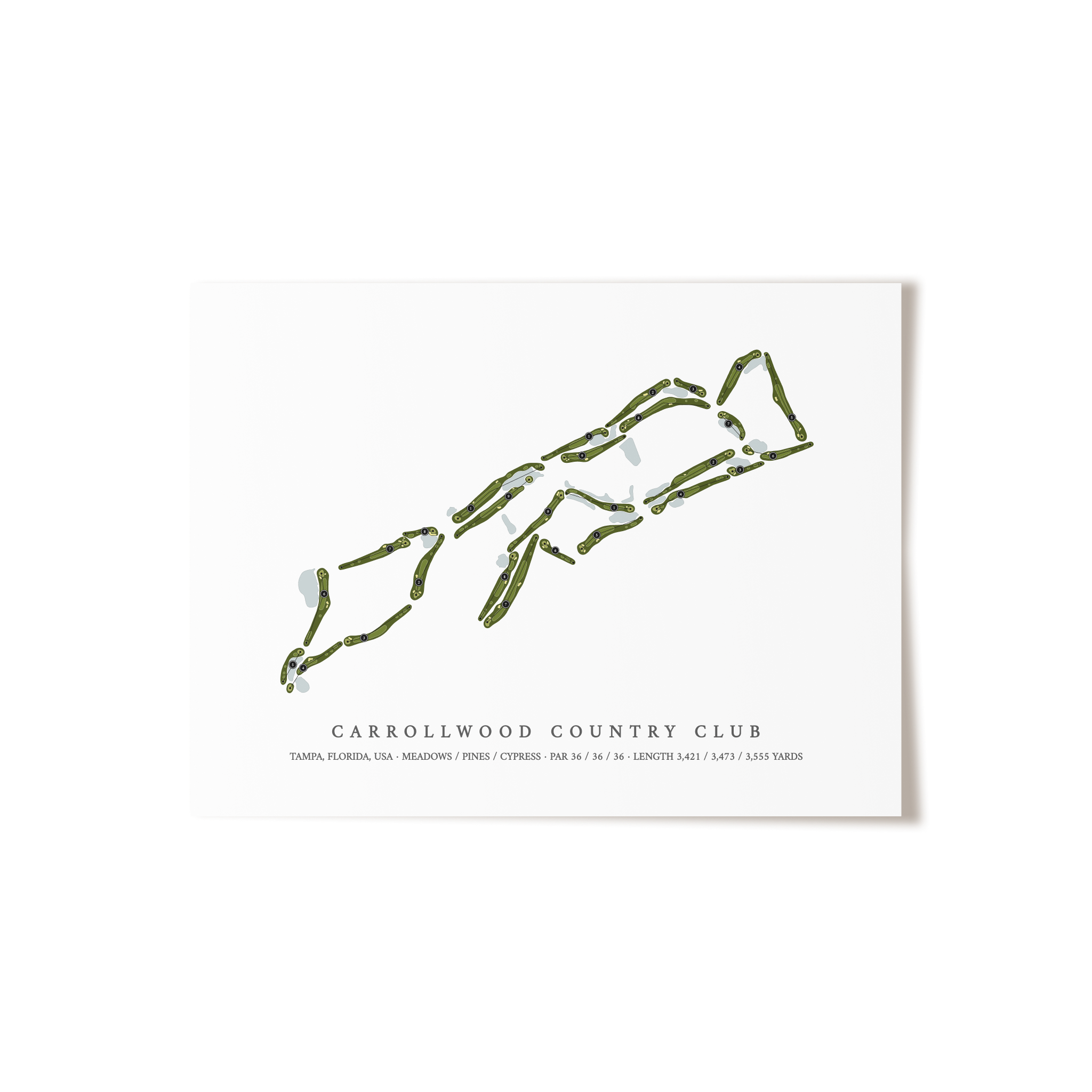 Carrollwood Country Club | Golf Course Print | Unframed