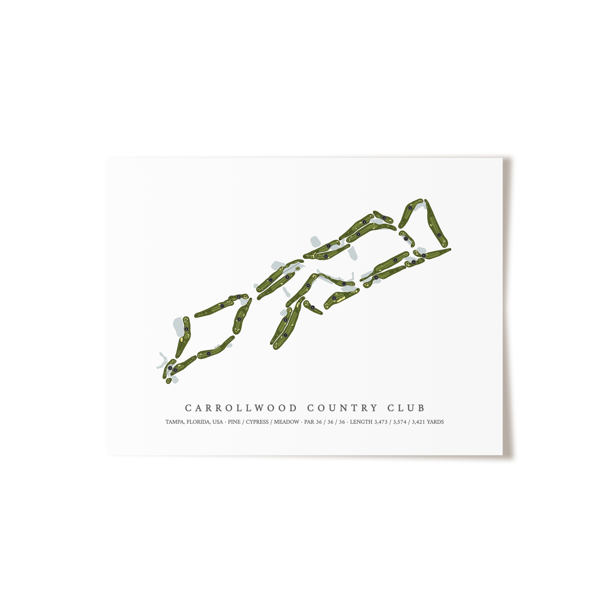 Carrollwood Country Club | Golf Course Map | Unframed