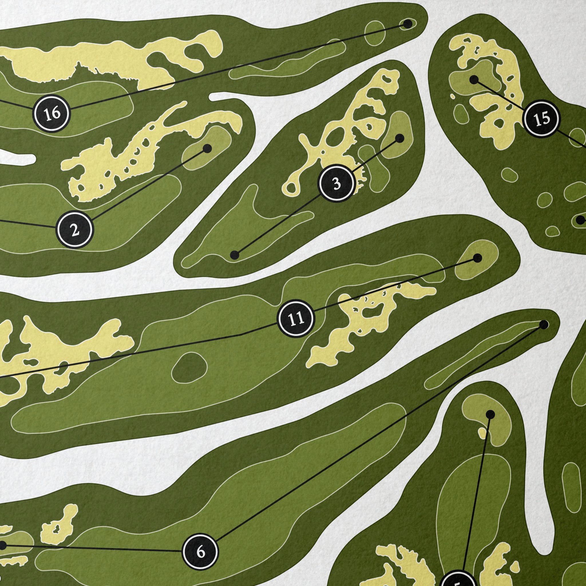 Chambers Bay | Golf Course Print | Close Up