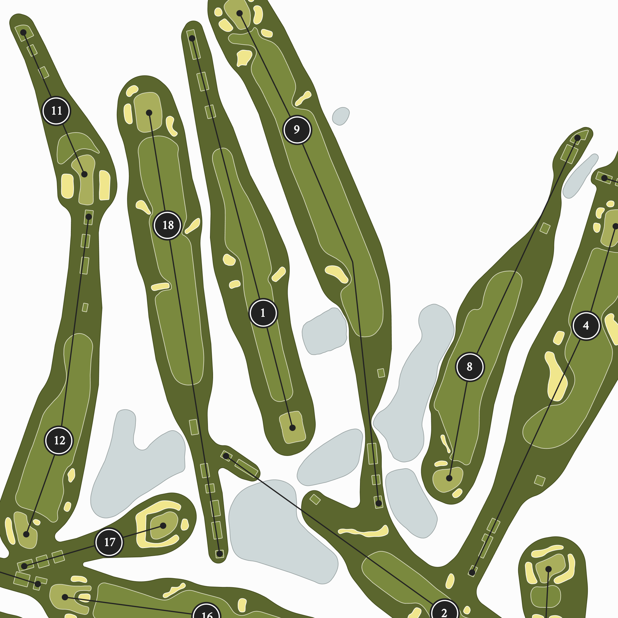 Country Club of Charleston | Golf Course Map | Close Up