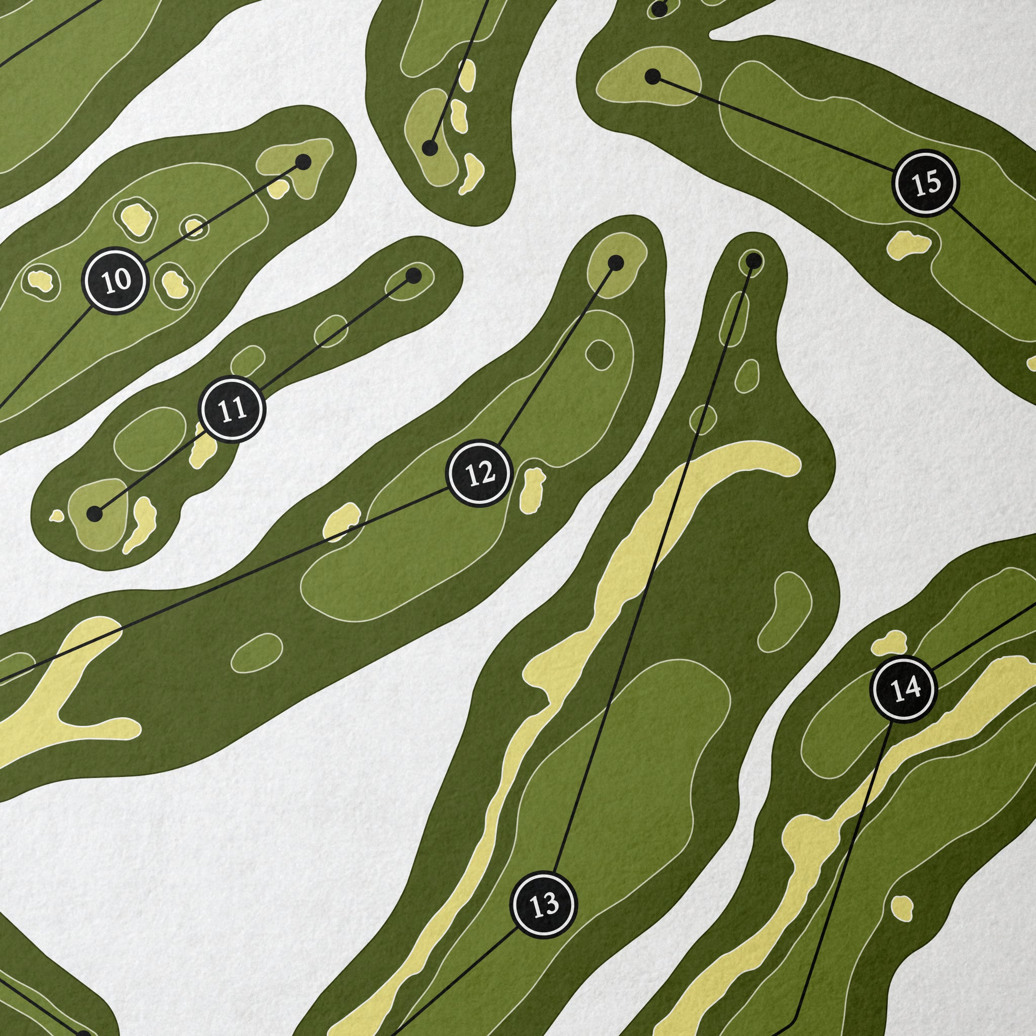 Diamante Cabo San Lucas - El Cardonal Course | Golf Course Print | Close Up