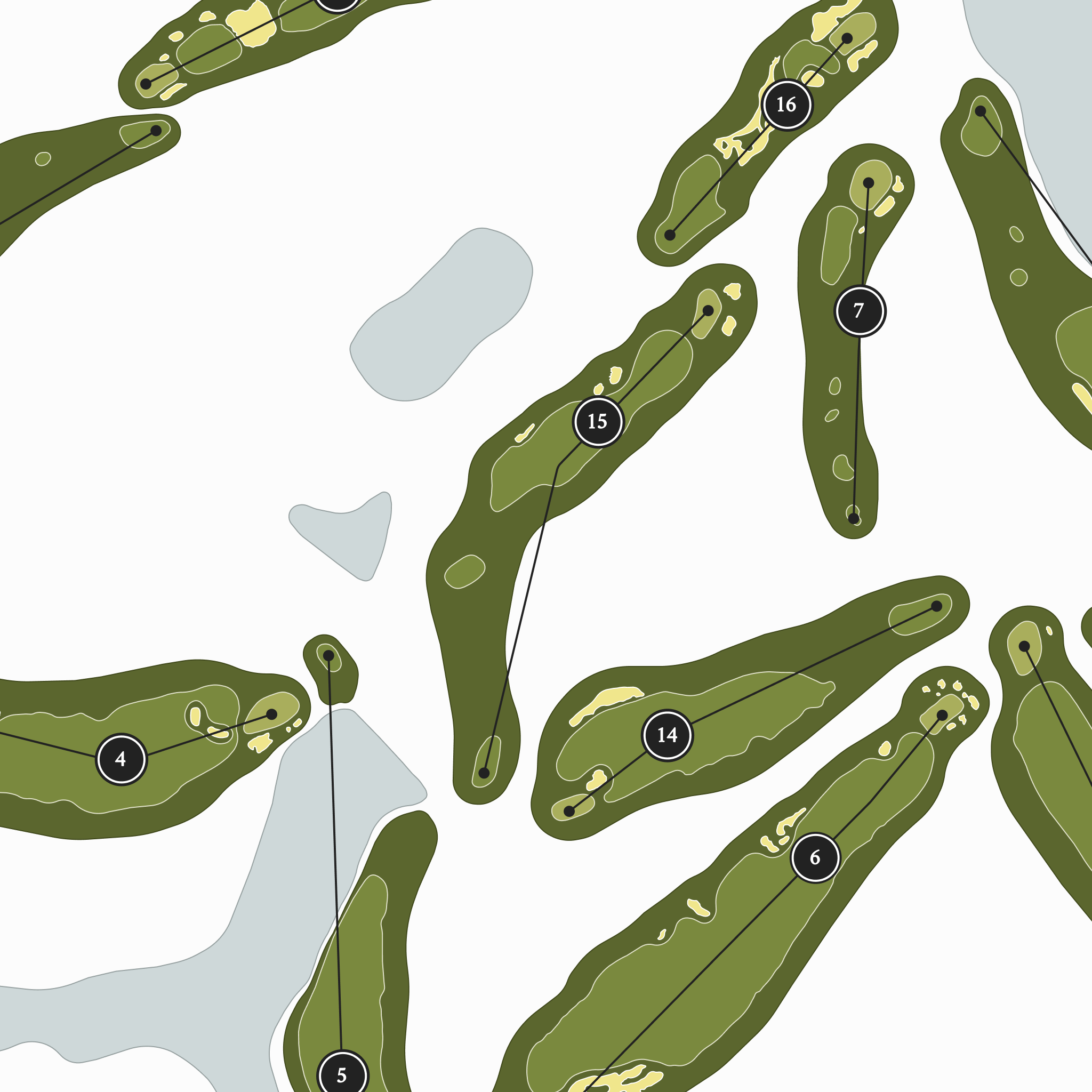Dormie Club | Golf Course Print | Close Up