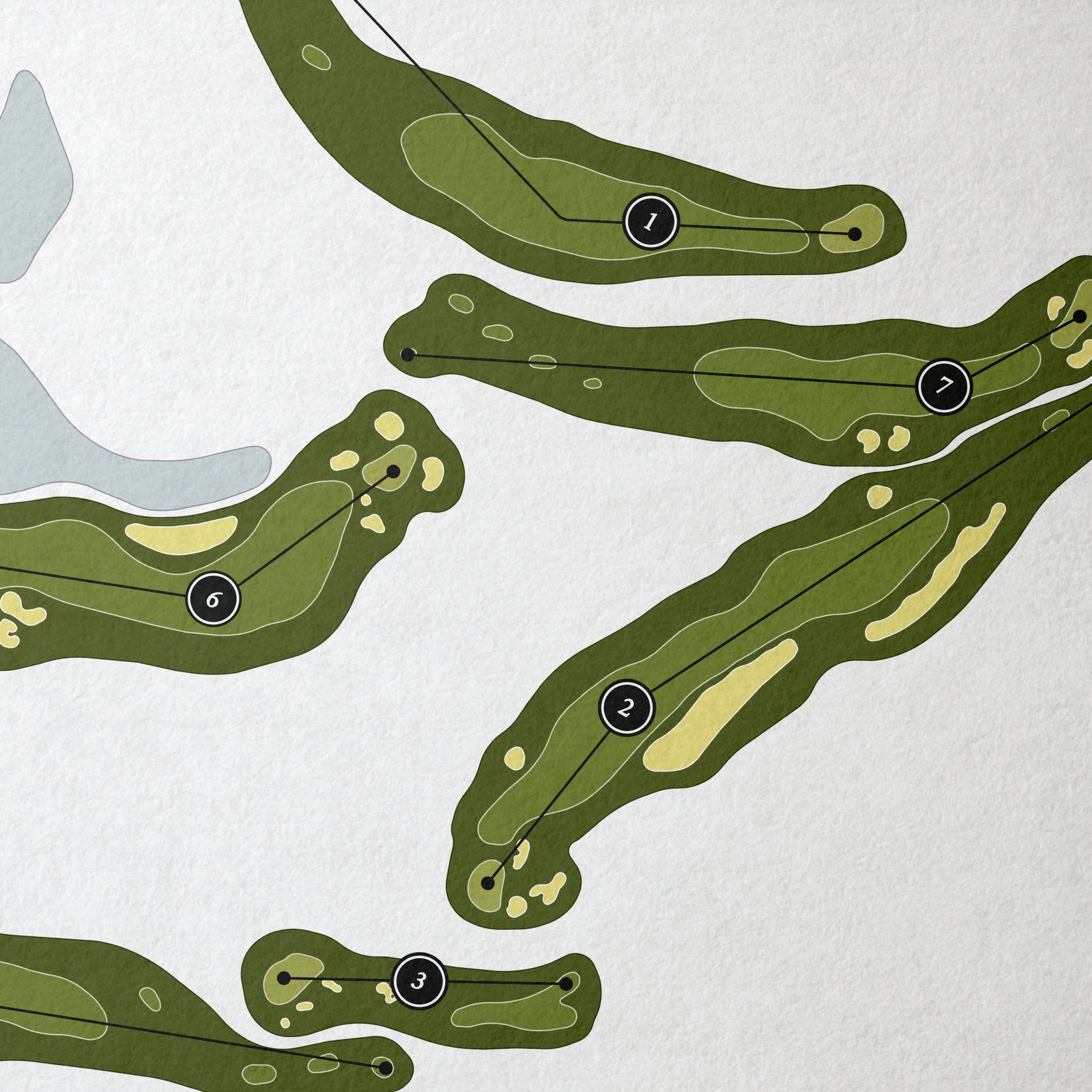 Dragonfly Golf Club | Golf Course Print | Close+Up