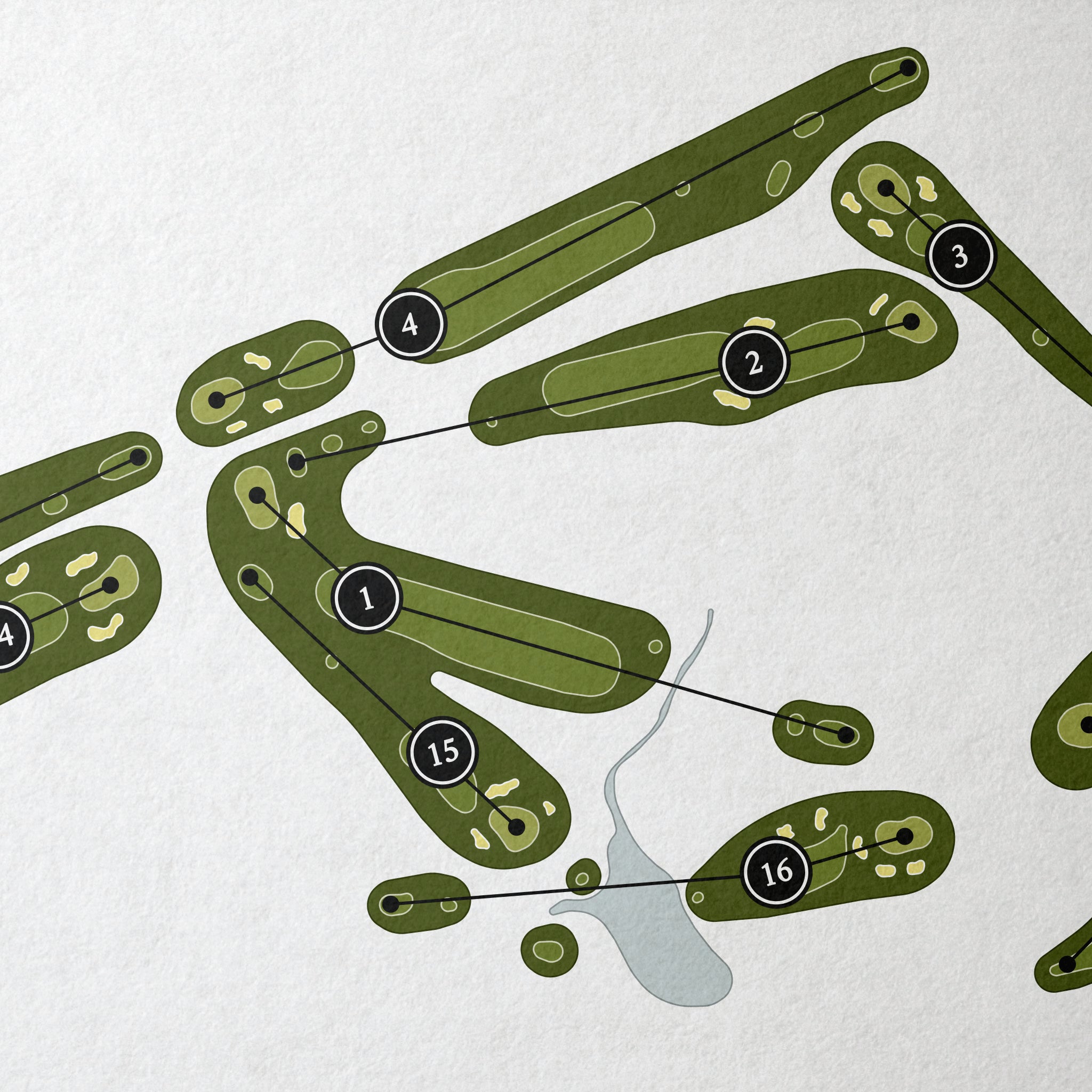 Greensboro Country Club - Irving Park Course | Golf Course Print | Close Up