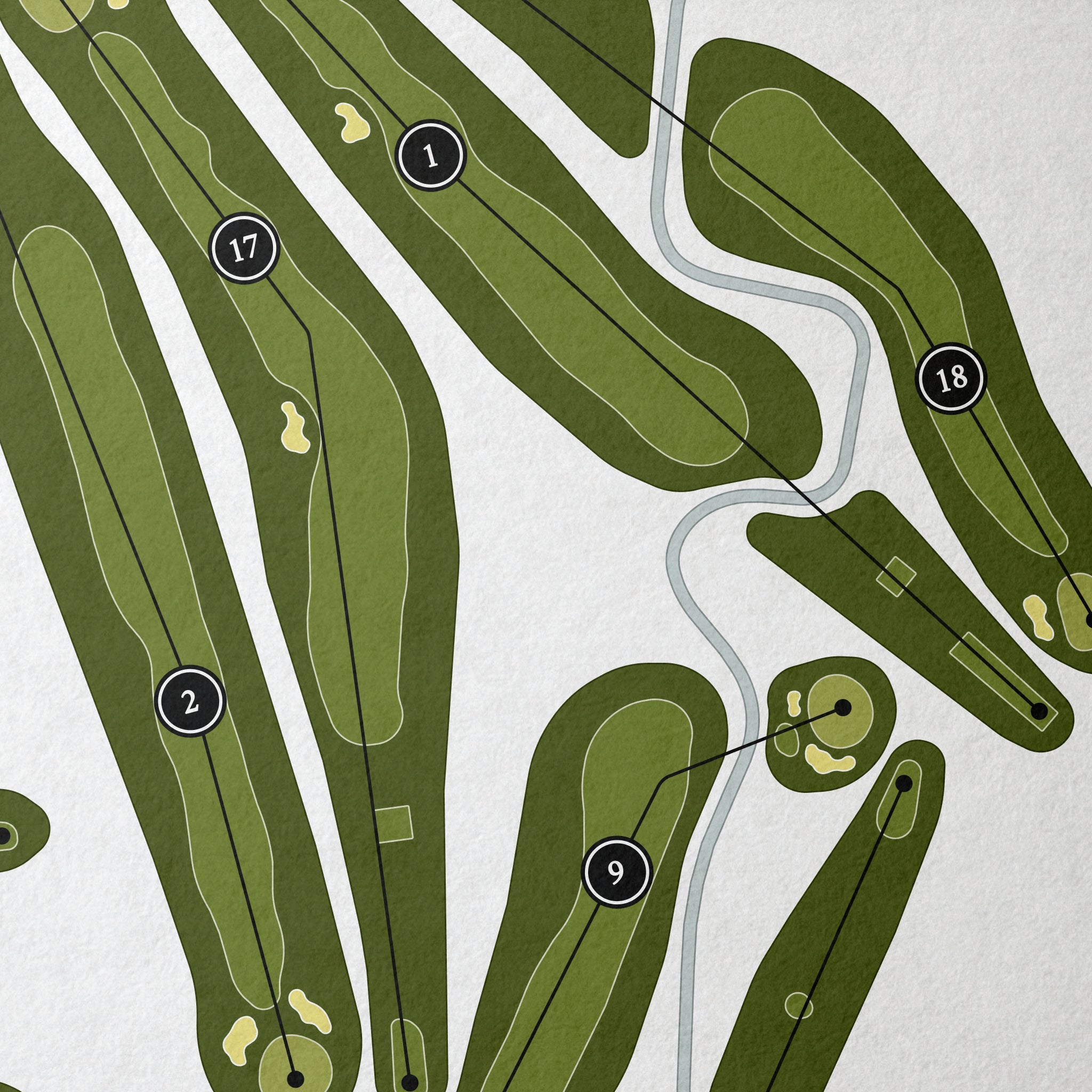 Illini Country Club | Golf Course Print | Close Up