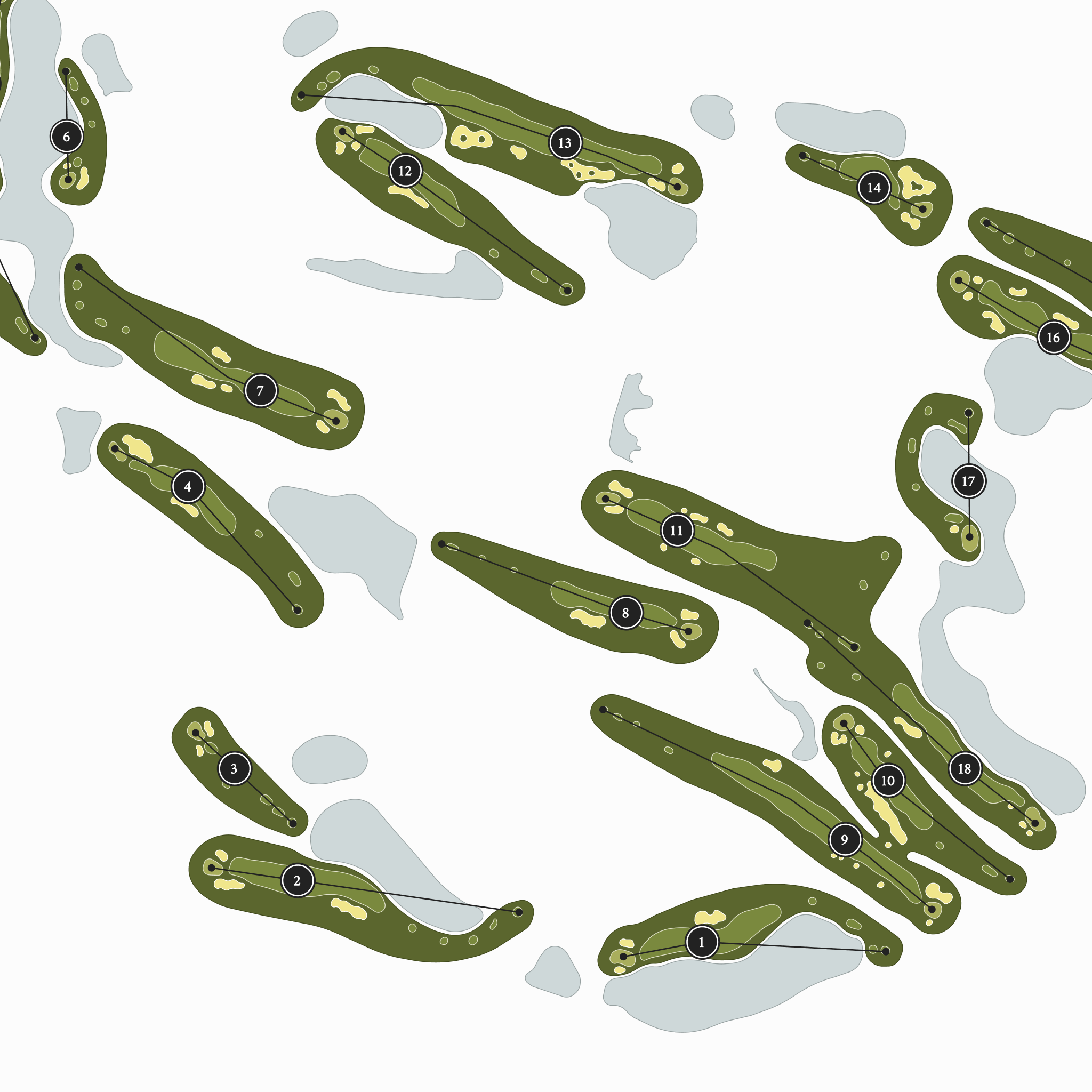 LPGA International | Golf Course Print | Close Up