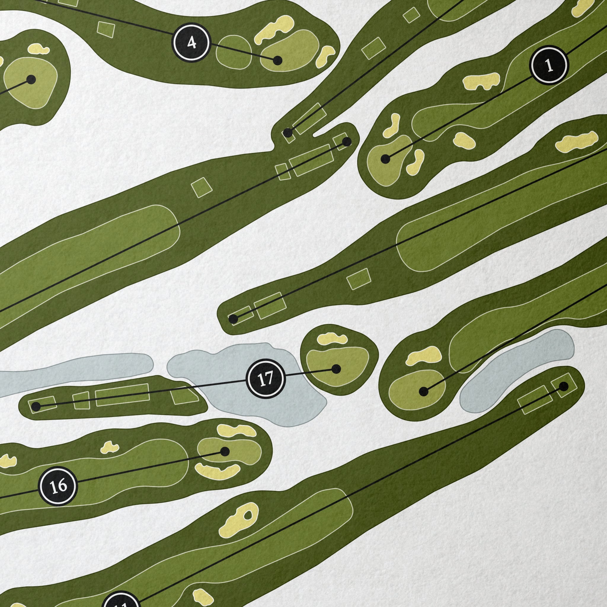 La Grange Country Club | Golf Course Print | Close Up