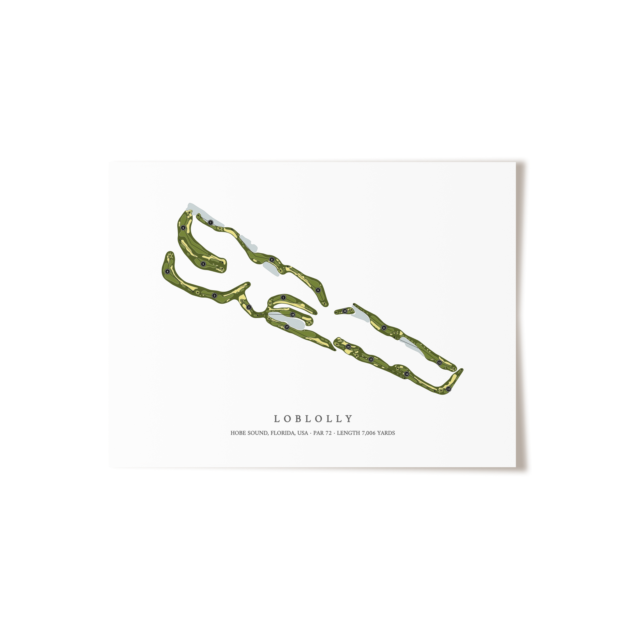 Loblolly | Golf Course Map | Unframed