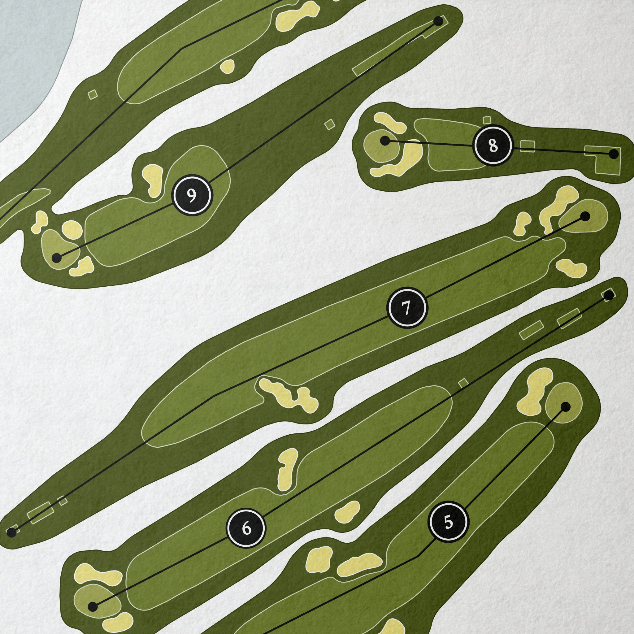 Milwaukee Country Club | Golf Course Print | Close+Up