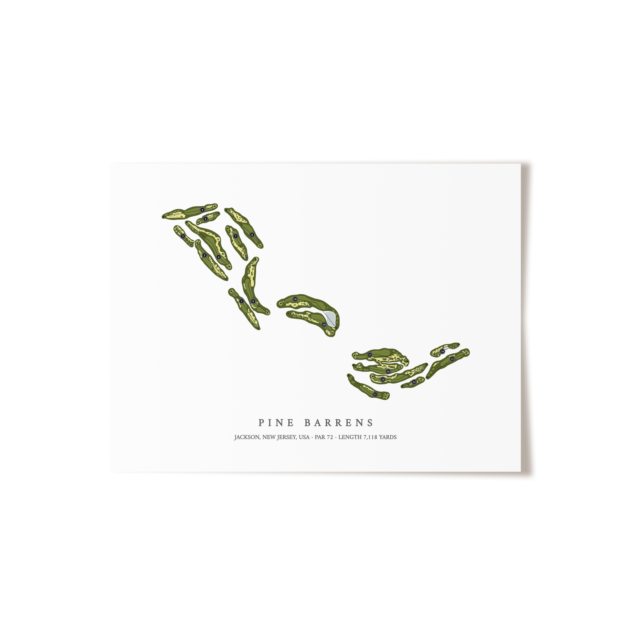 Pine Barrens | Golf Course Print | Unframed
