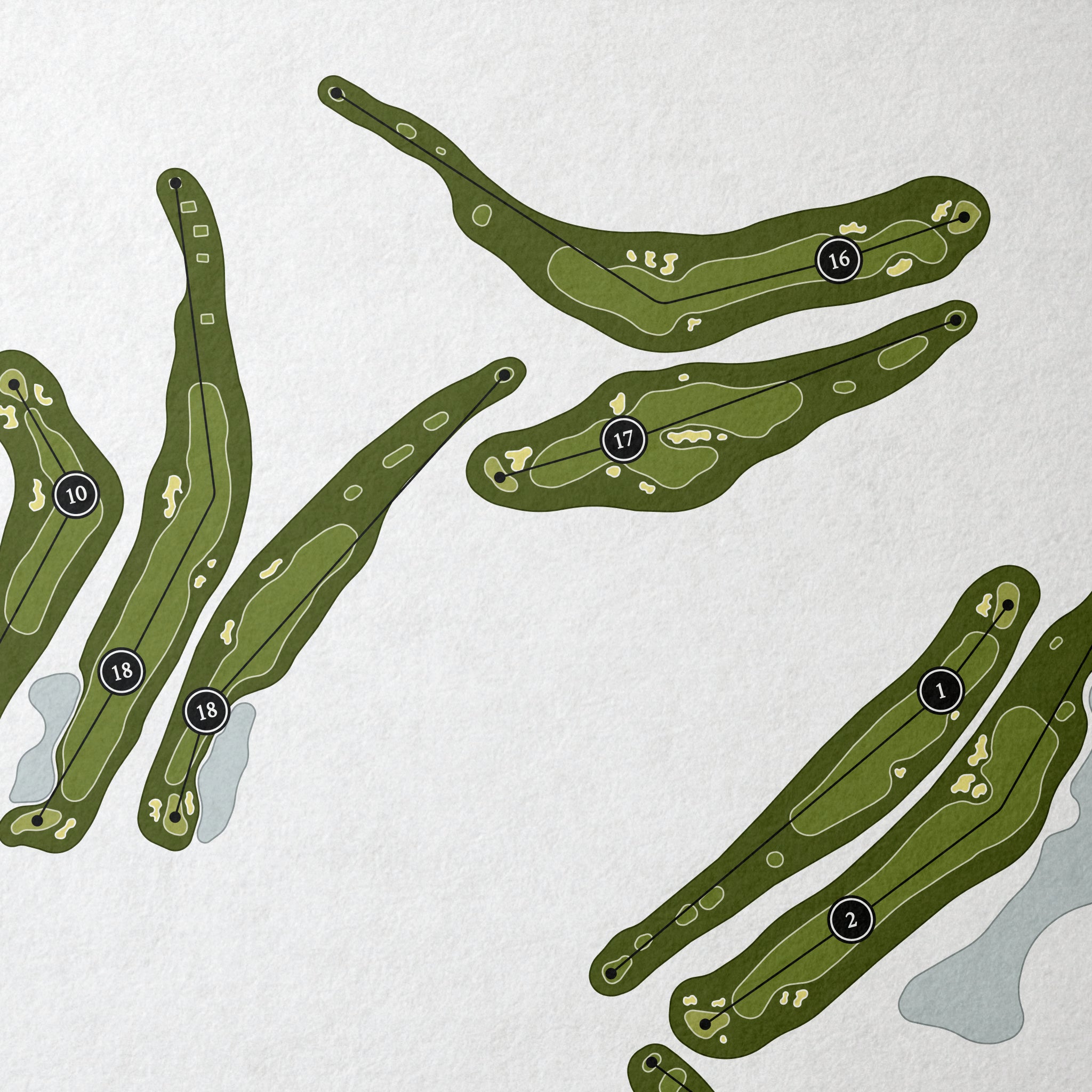 Pinehills Golf Club | Golf Course Print | Close Up