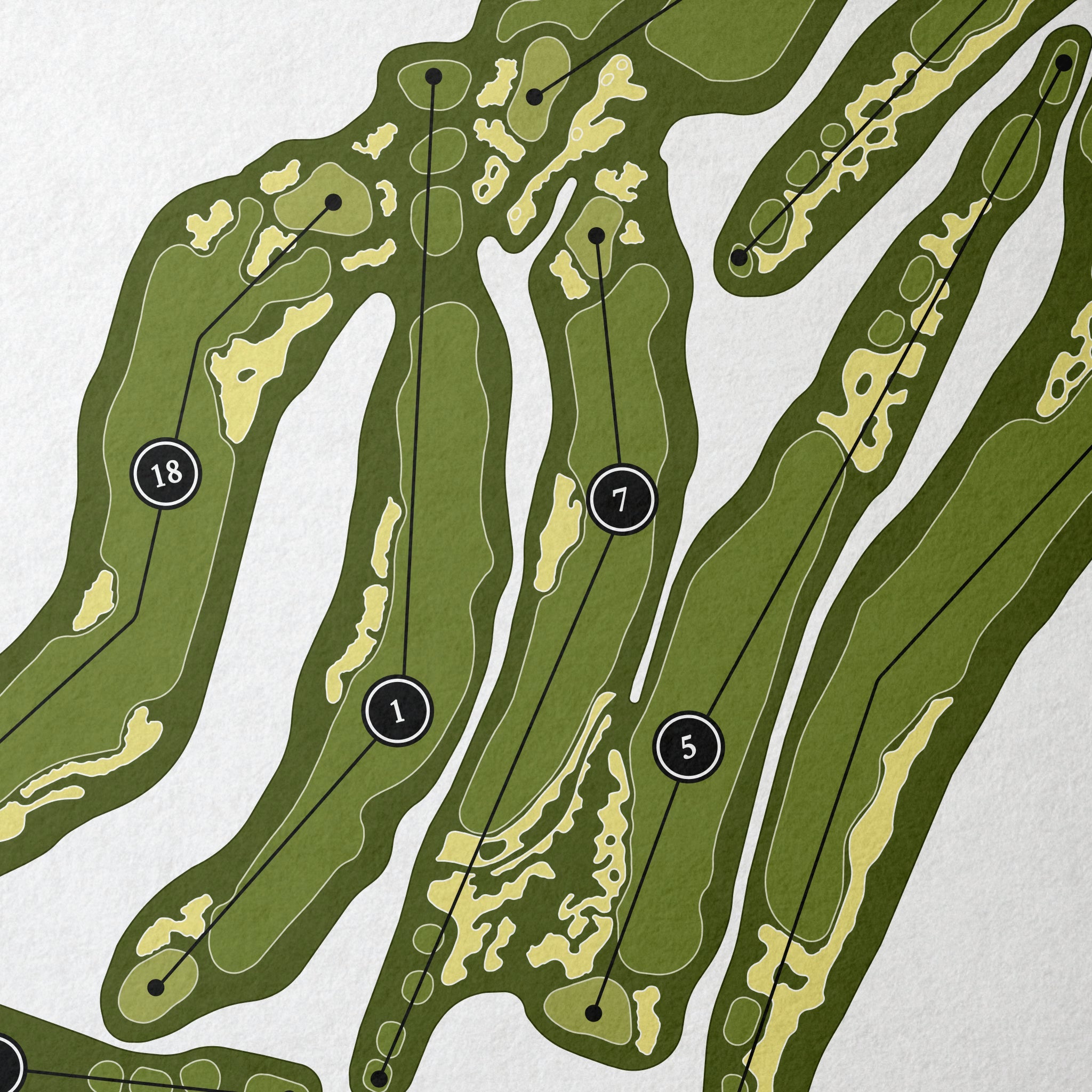 Poppy Hills Golf Course | Golf Course Print | Close Up