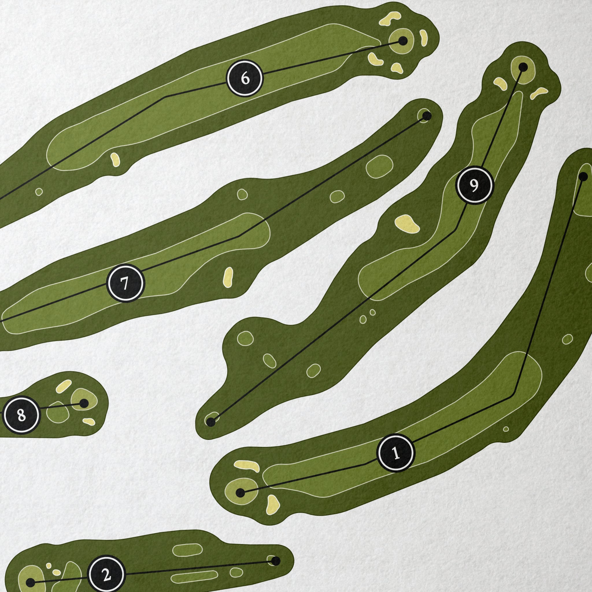 Saratoga Spa Golf Course | Golf Course Print | Close Up