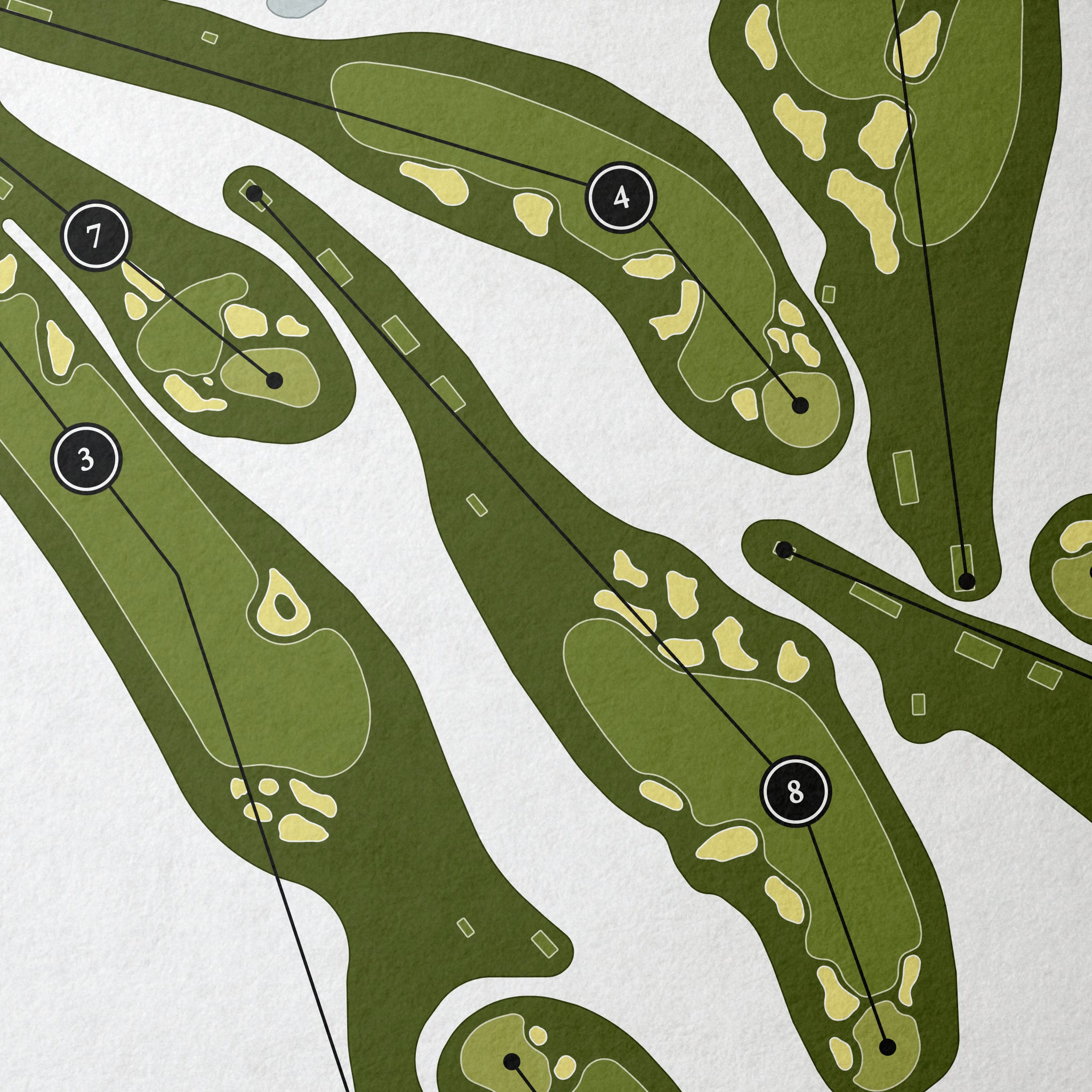 Shinnecock Hills Golf Club | Golf Course Print | Close Up