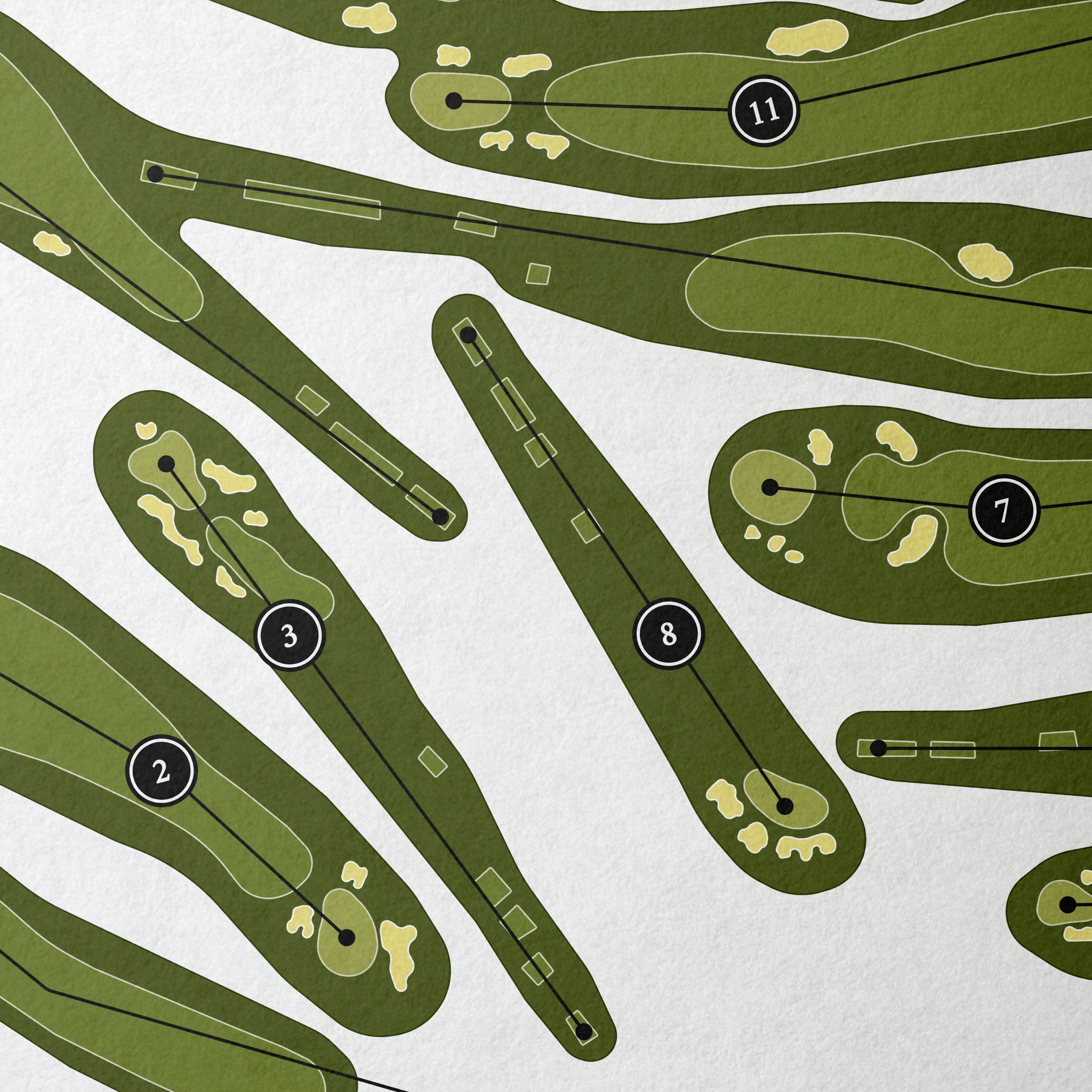 The Olympic Club - Lake Course | Golf Course Print | Close Up