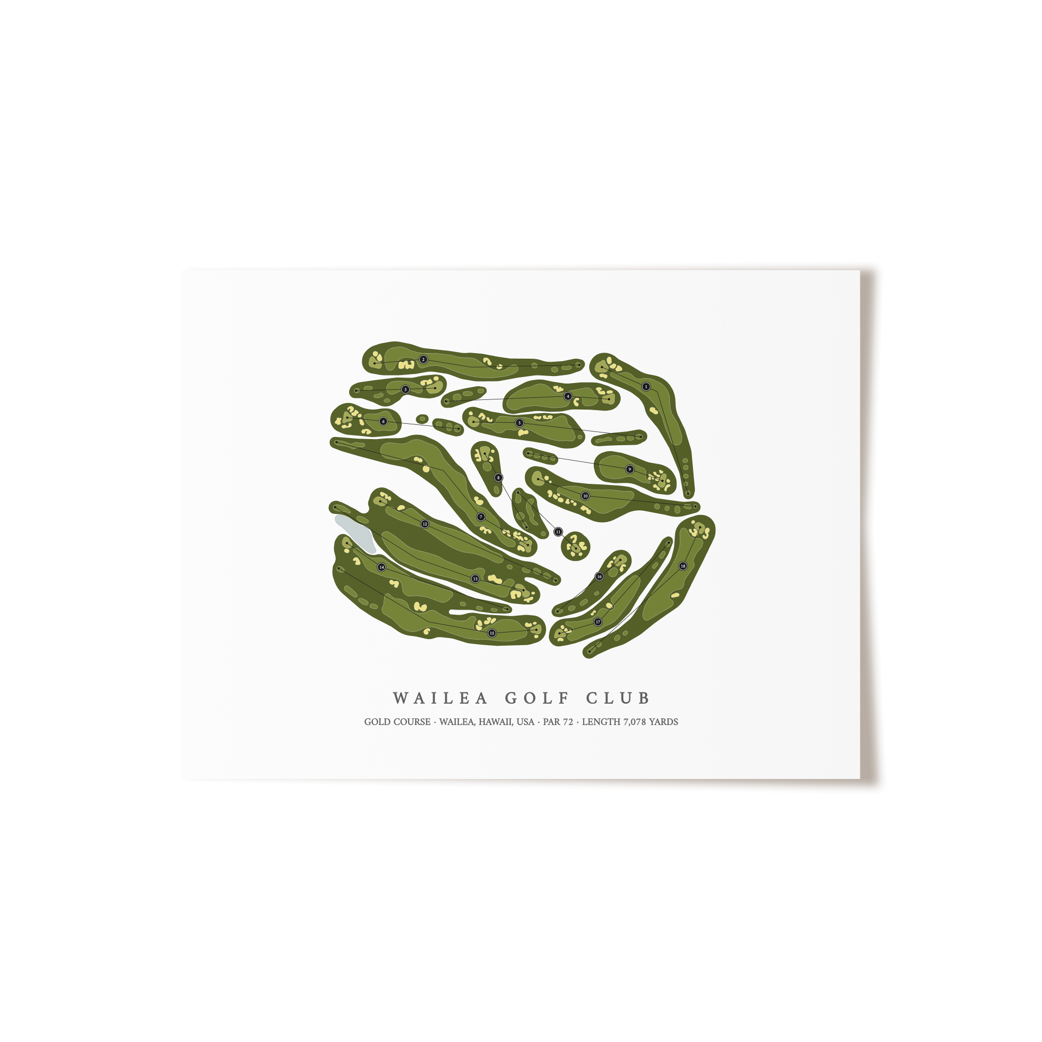 Wailea Golf Club - Gold Course | Golf Course Map | Unframed