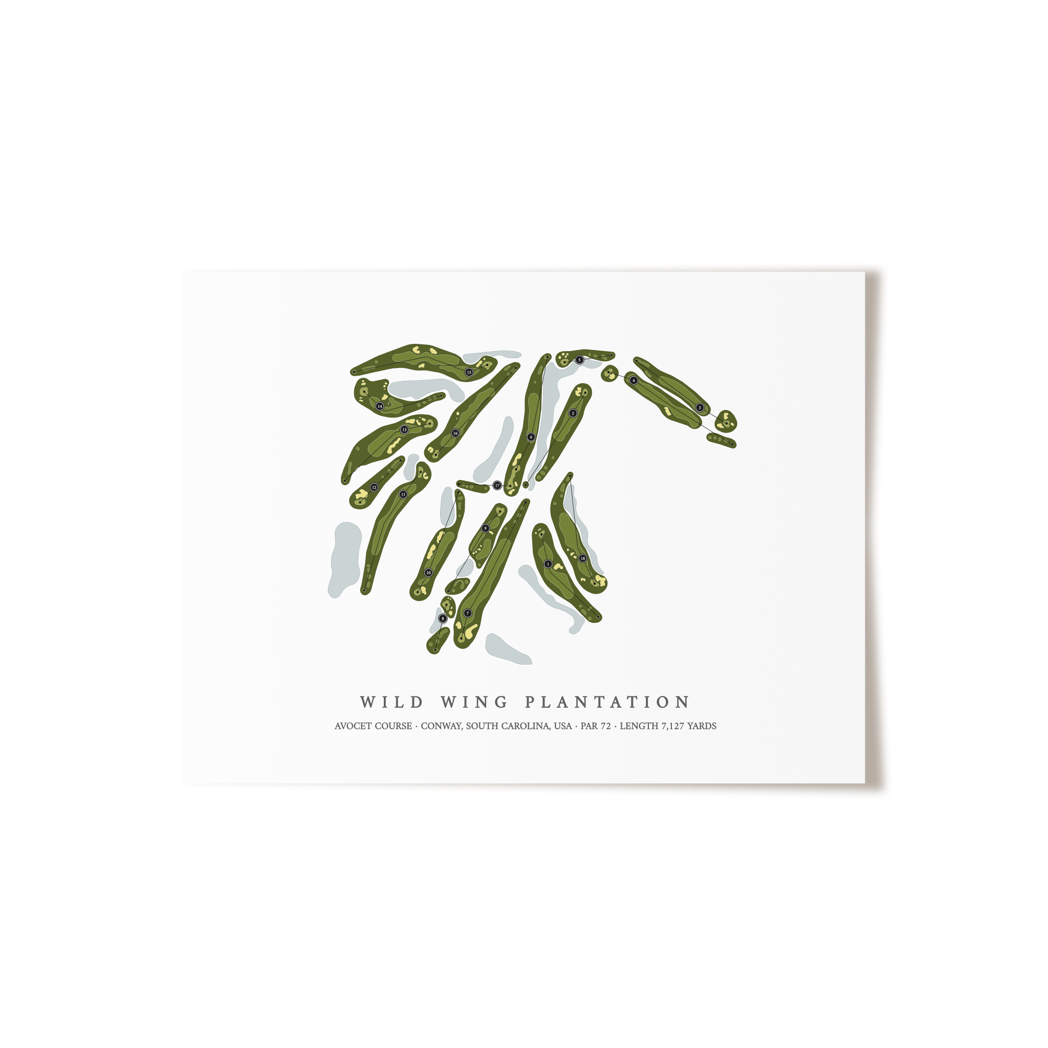 Wild Wing Plantation - Avocet Course | Golf Course Map | Unframed
