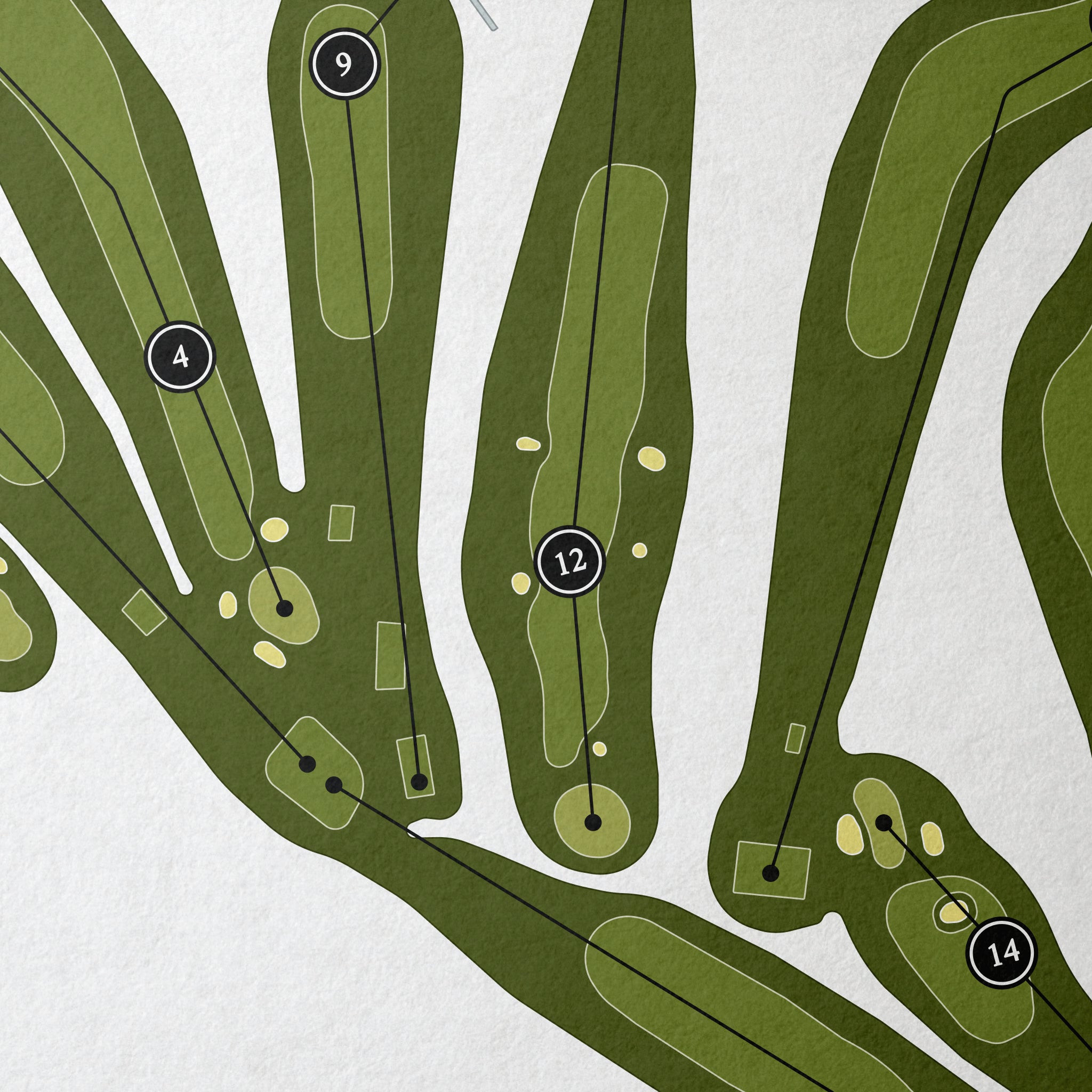 Ballochmyle Golf Club | Golf Course Map | Close Up 