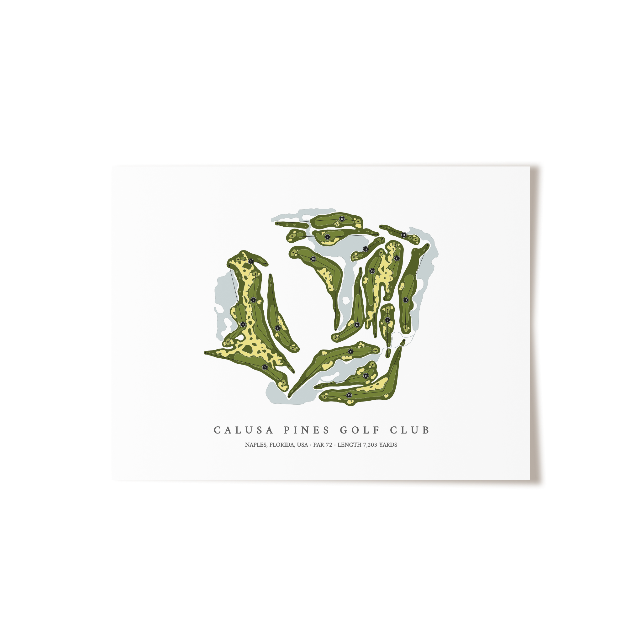 Calusa Pines Golf Club | Golf Course Map | Unframed 