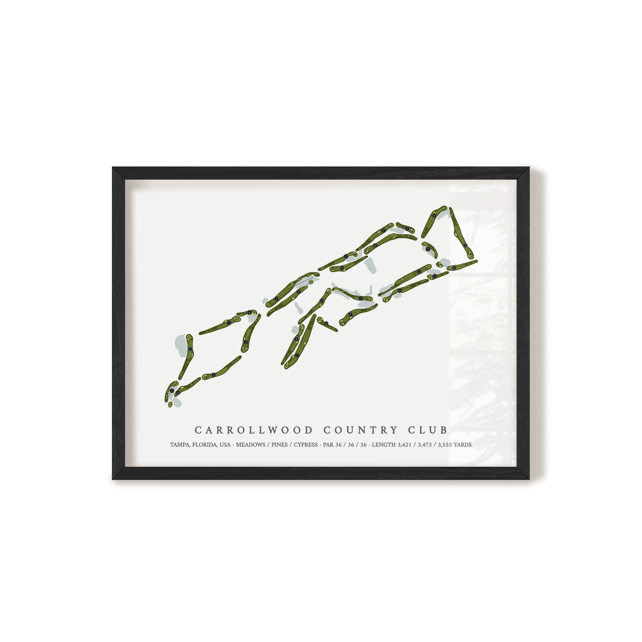 Carrollwood Country Club | Golf Course Print | Black Frame