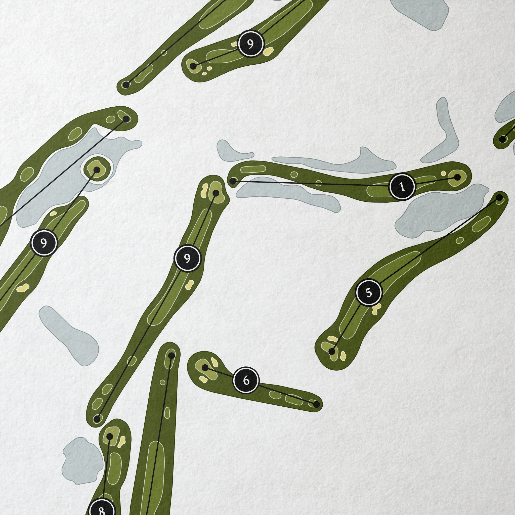 Carrollwood Country Club | Golf Course Print | Close Up