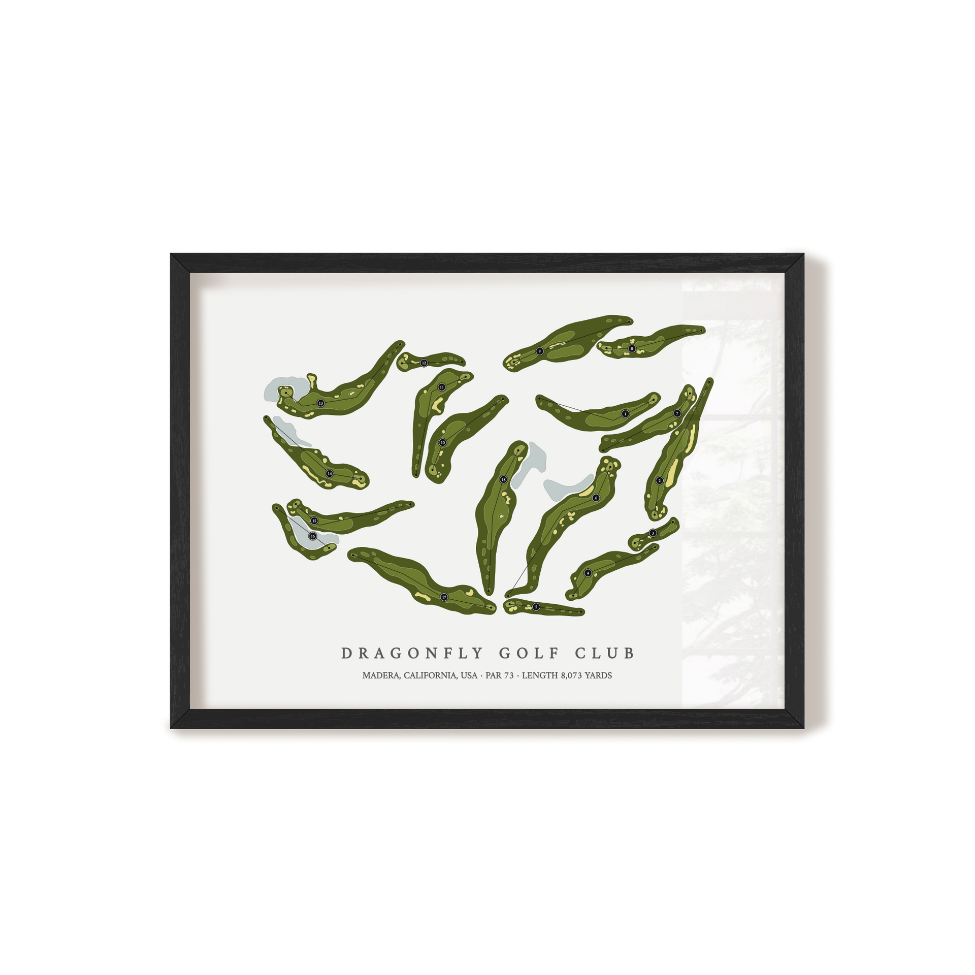 Dragonfly_Golf_Club_in_Madera_