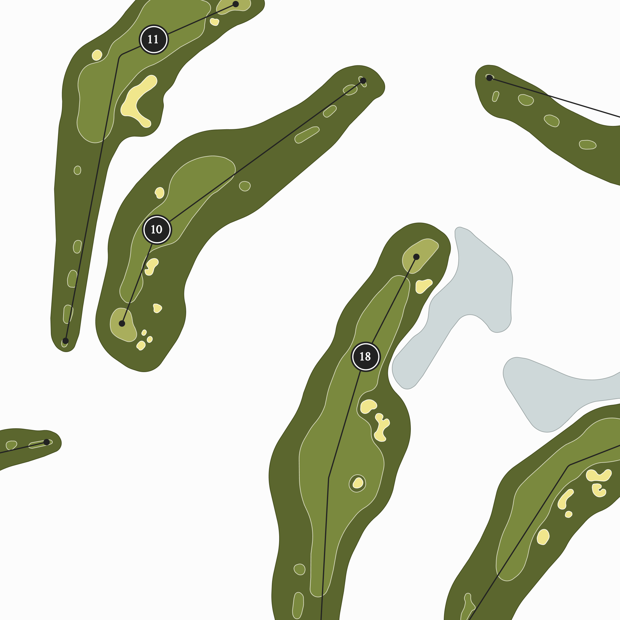 Dragonfly Golf Club | Golf Course Map | Close Up