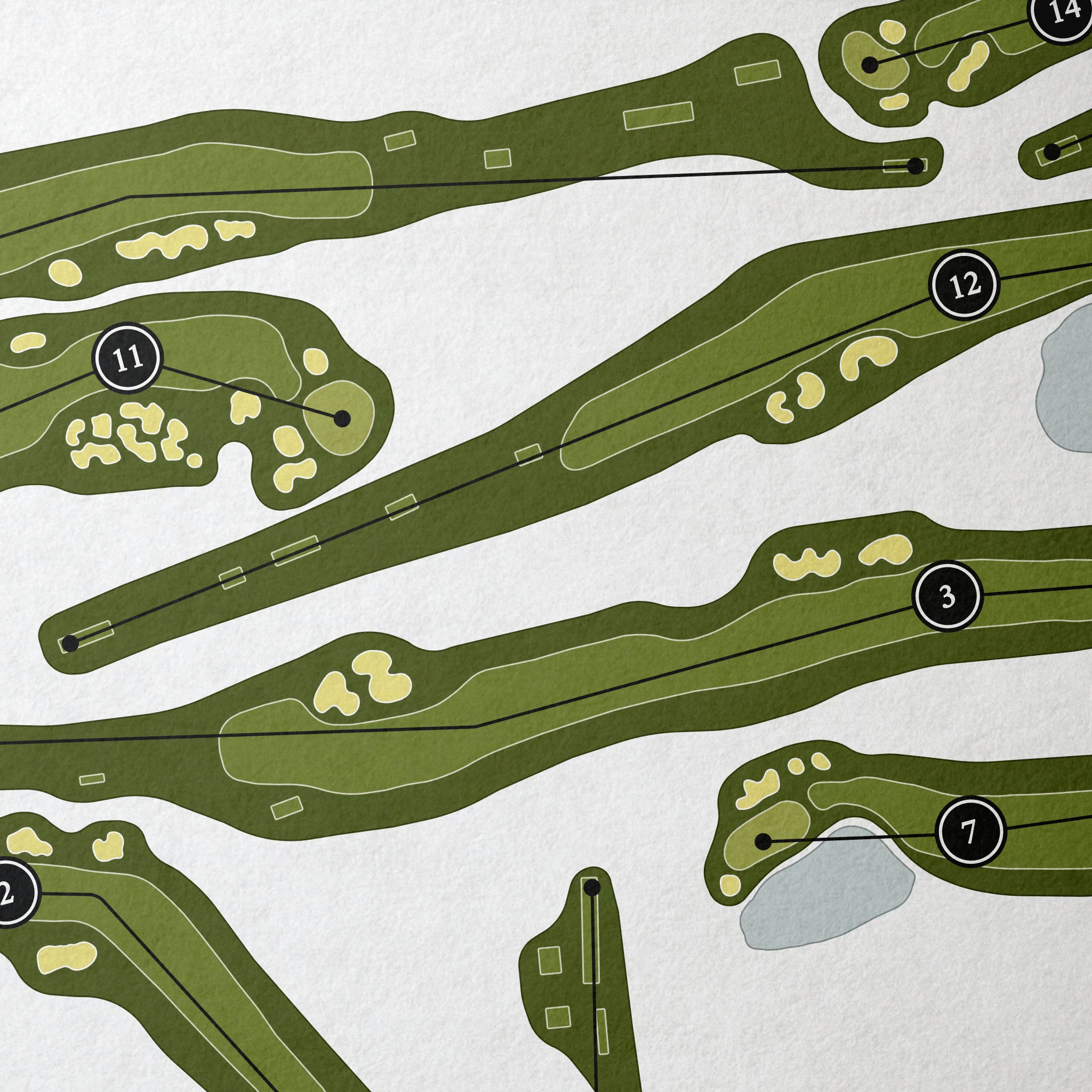Hazeltine National Golf Club | Golf Course Print | Close Up