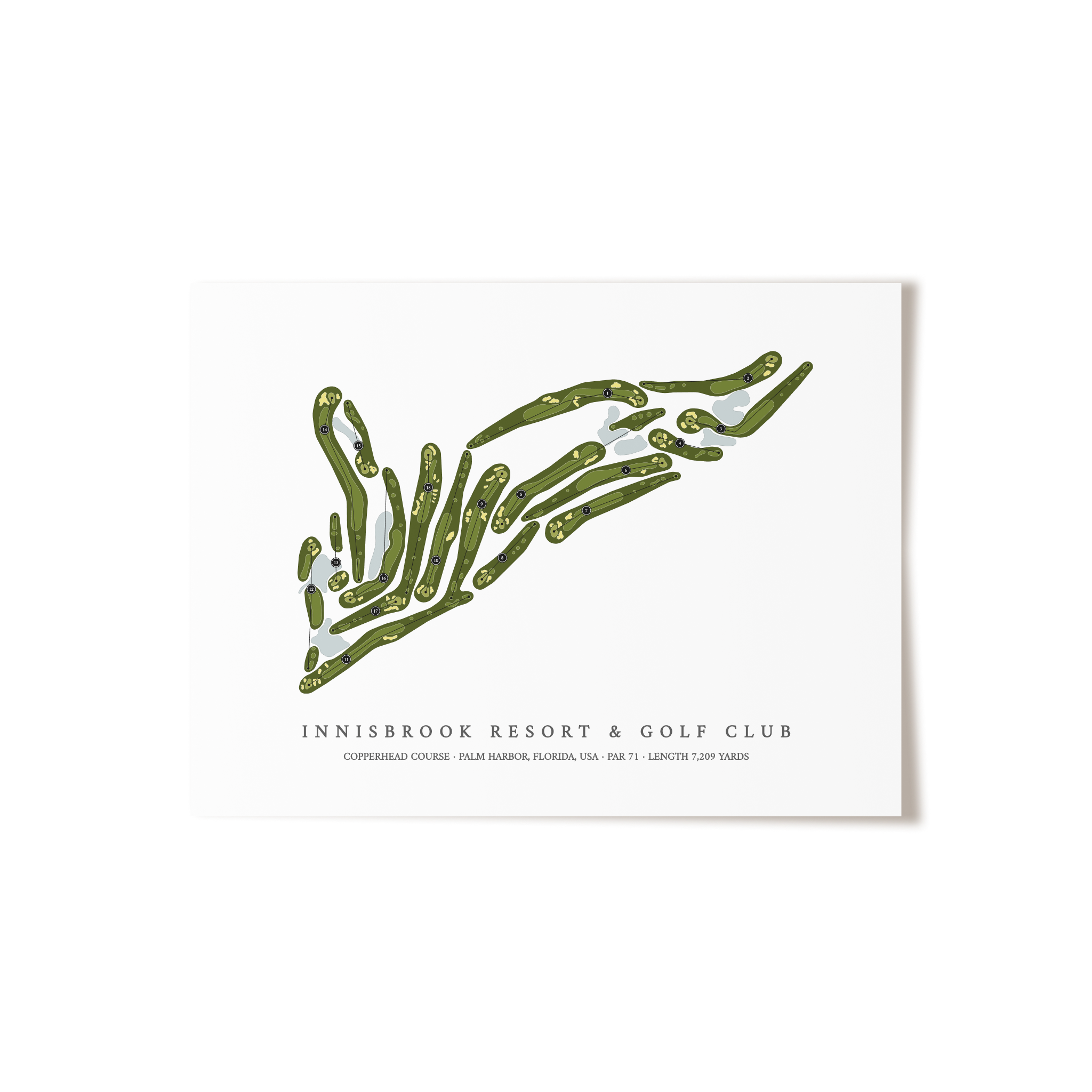 Innisbrook Resort & Golf Club - Copperhead Course | Golf Course Map | Unframed 