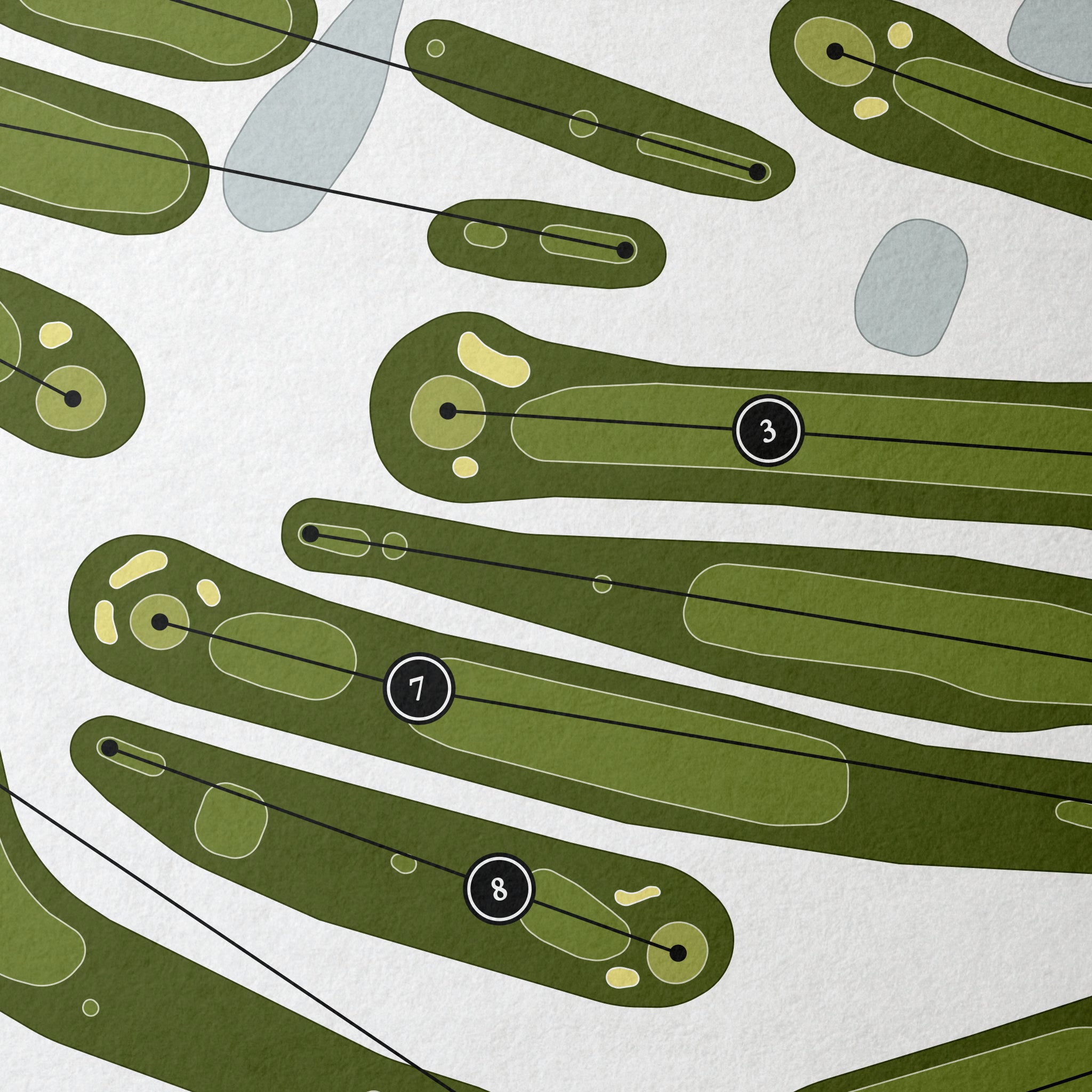 Lee Park Golf Course | Golf Course Print | Close Up