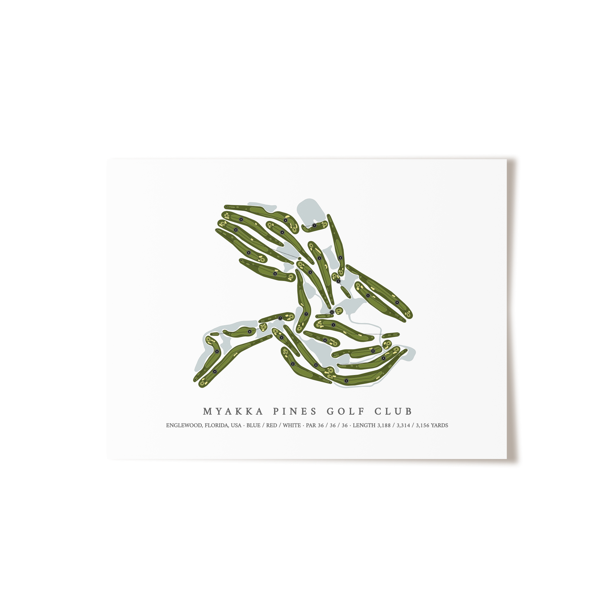 Myakka Pines Golf Club | Golf Course Map | Unframed 