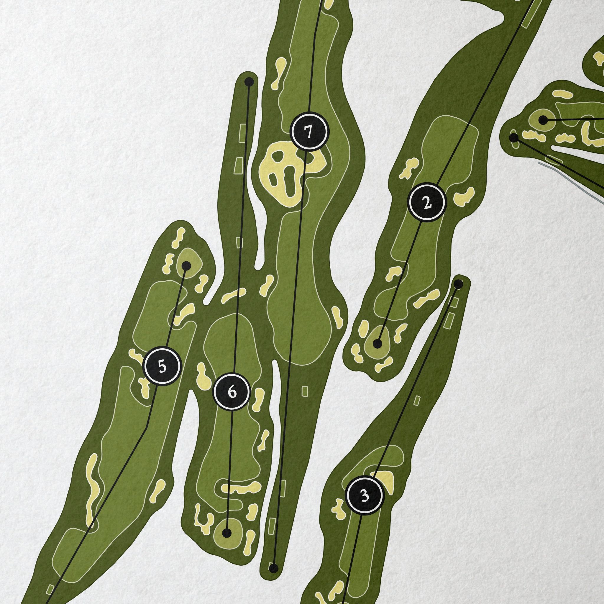 Newport Country Club | Golf Course Print | Close Up