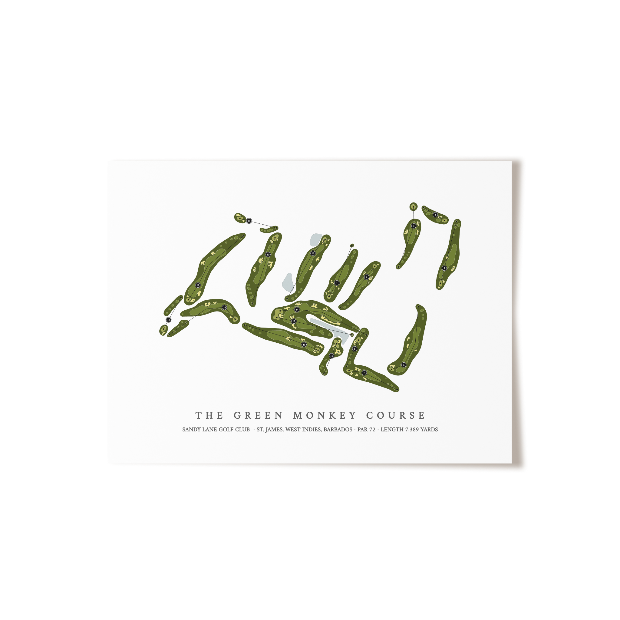 Sandy Lane Golf Club - The Green Monkey Course | Golf Course Map | Unframed 