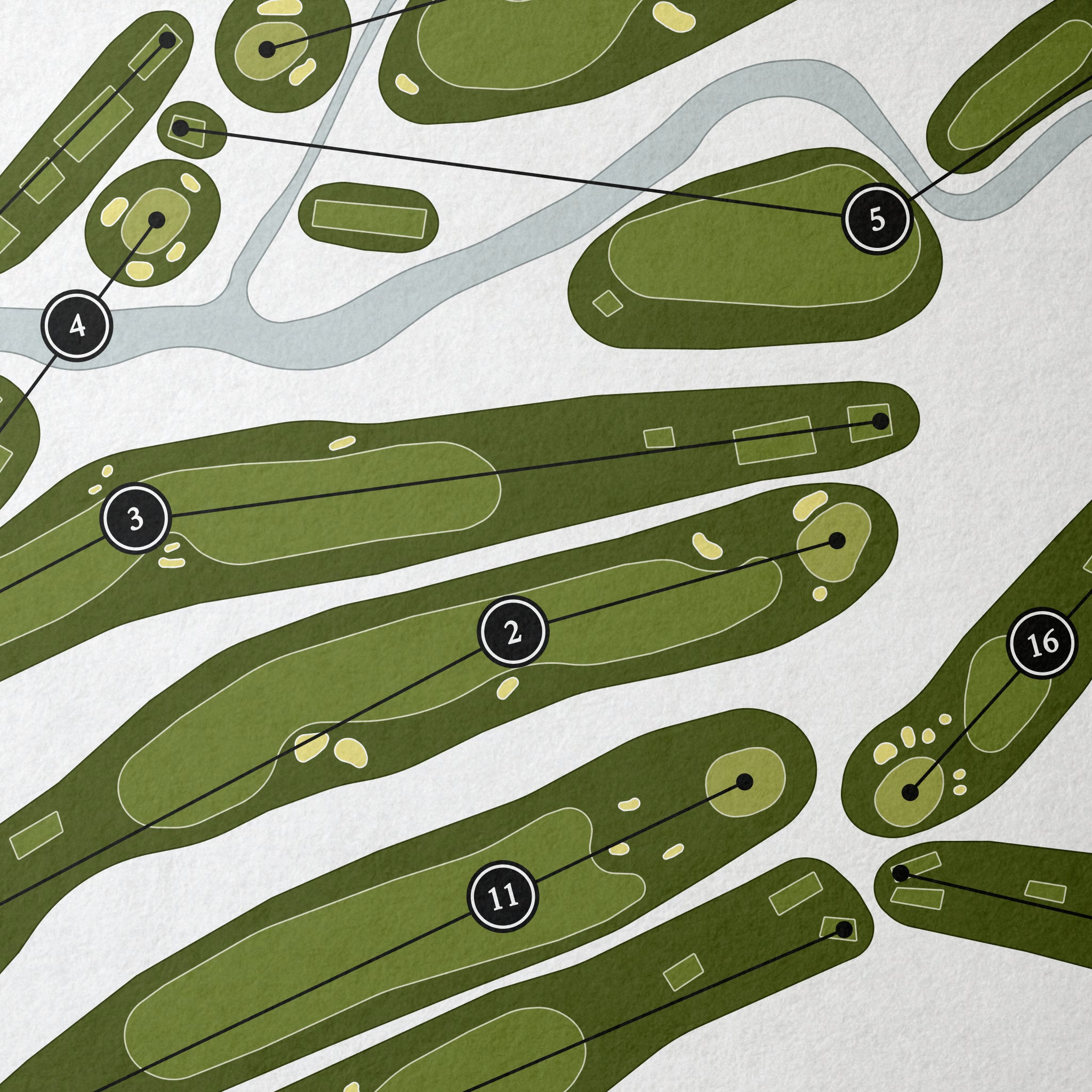 Sara Bay Country Club | Golf Course Print | Close Up